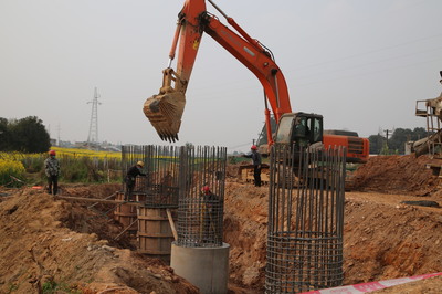 東坡區成立保障專組，為項目建設“滿血復活”注入強勁動力